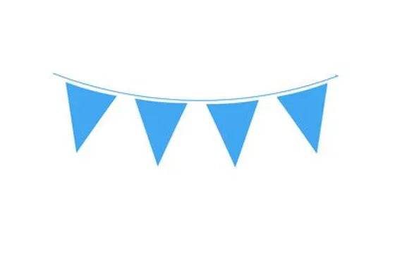 Blue Bunting - Eternity Party Express