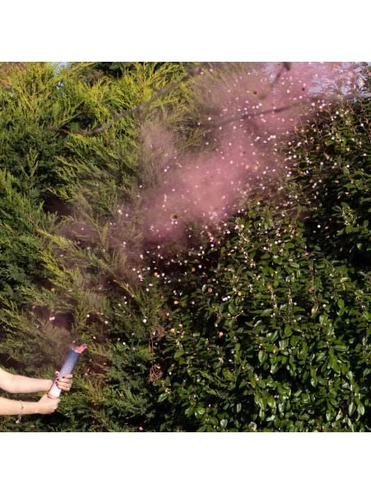 Gender Reveal Pink Smoke Cannon - Eternity Party Express
