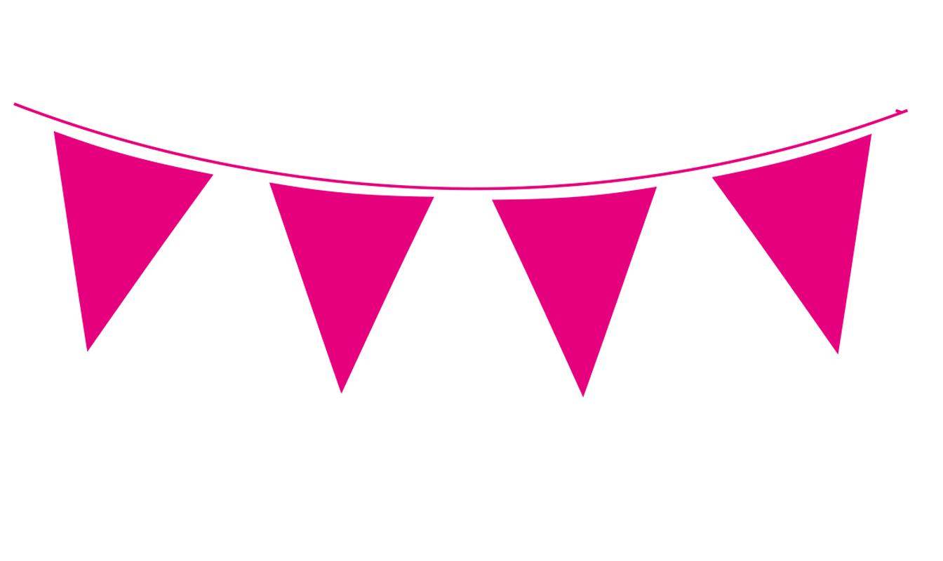 Hot Pink Bunting - Eternity Party Express