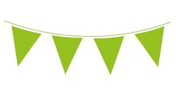 Green Bunting - Eternity Party Express