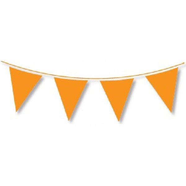 Orange Bunting - Eternity Party Express