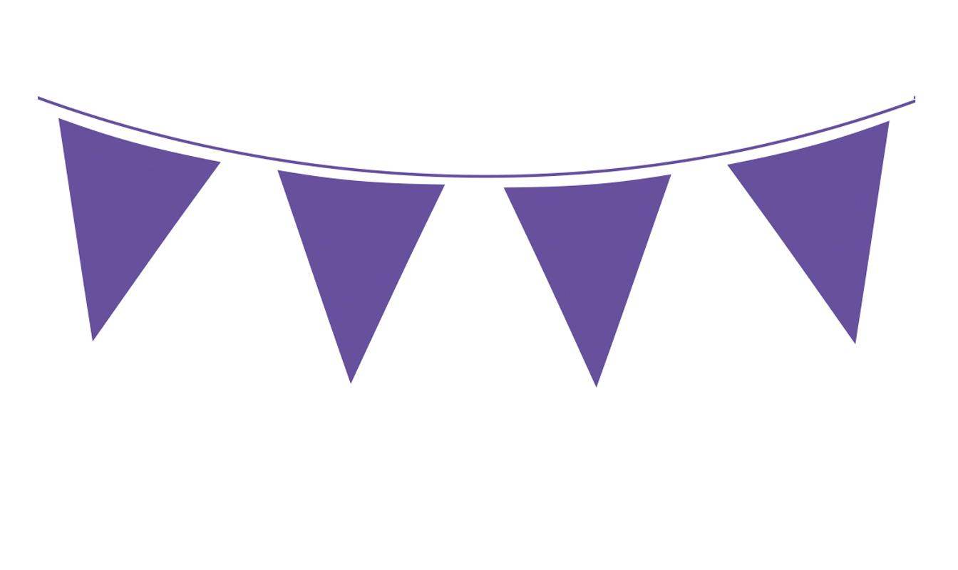 Purple Bunting - Eternity Party Express