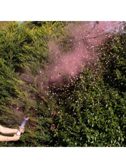 Gender Reveal Pink Smoke Cannon2