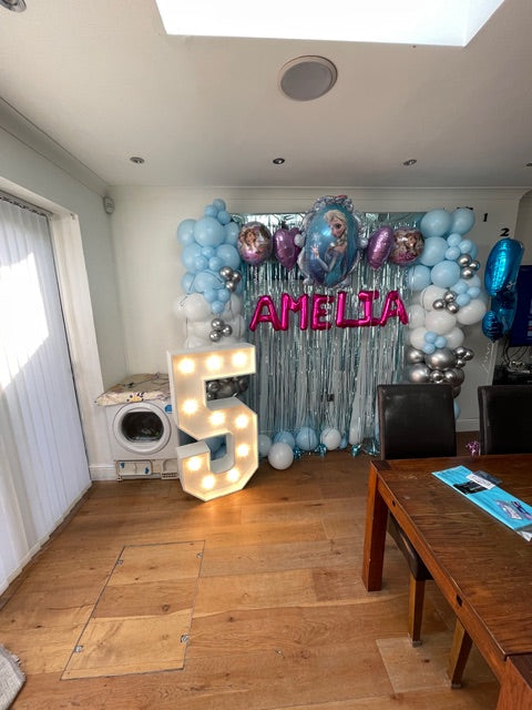 5th Frozen Theme Party Decorations