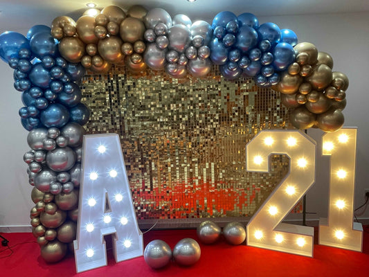 21st Party Decorations